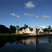 Desmond Castle, Adare