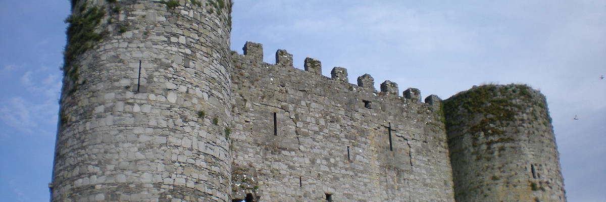 Carlow Castle