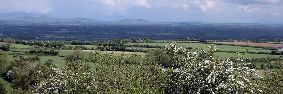 County Kildare