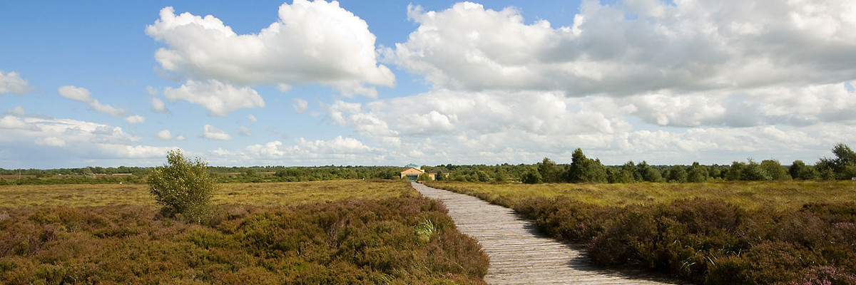 County Longford