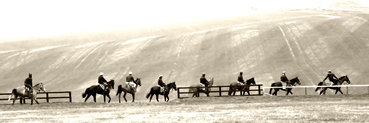 Horse Racing in Ireland
