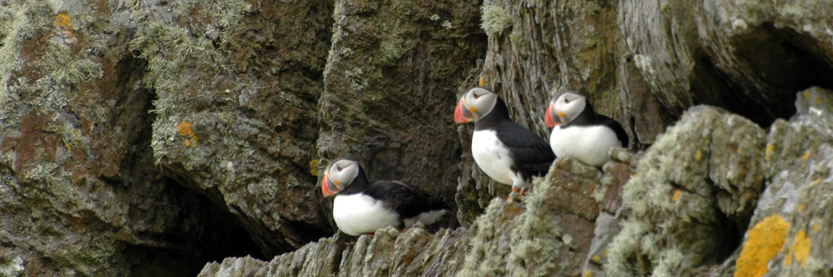 Skellig Michael